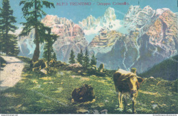U51 Cartolina  Alto Trentino Gruppo Cristallo Provincia Di Trento - Trento