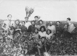 Photo 18 X 13  Originale- Vendanges 1945 (Groupe D'Hommes Et De Femmes Et De Deux Musiciens - Personnes Anonymes