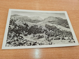 Postcard - Croatia, Južni Velebit     (33067) - Croacia