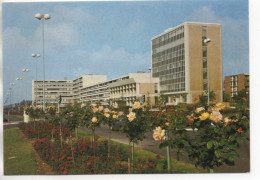 CPM ( Mons En Baroeul - Hotel De Ville ) - Autres & Non Classés