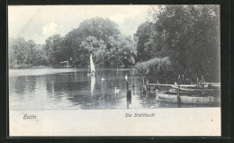 AK Eutin, Die Stadtbucht Mit Booten  - Eutin