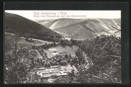 AK Bad Leutenberg, Blick Vom Tannenberg Auf Das Schwimmbad  - Leutenberg