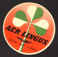 Aer Lingus Irish Air Lines Passenger Luggage Baggage Label #37597 - Autres & Non Classés