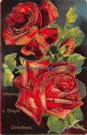 R152590 Greetings. Wishing A Bright Christmas. Red Roses - World