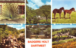 R153250 Badgers Holt Dartmeet. Multi View. Jarrold - World