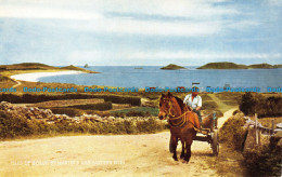 R151299 Isles Of Scilly. St. Martins And Eastern Isles. Salmon - Monde
