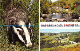 R153263 Badgers Holt. Dartmeet. Multi View. Jarrold - World