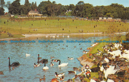 R153264 Flamingo Park Bird Sanctuary Seaview. I. W. Jarrold. Nigh - World