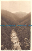 R152642 View Of The Rheidol From The Grounds Of The Hotel. Devils Bridge. F. P. - World