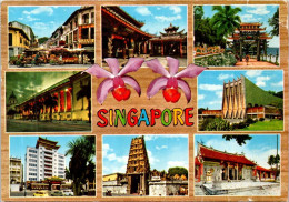 29-5-2024 (6 Z 26) Singapore (posted To Australia With 2 Bees Stamps In 1987) 8 Views - Singapore