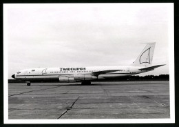 Fotografie Flugzeug Boeing 707, Passagierflugzeug Der Tradewinds, Kennung G-BNGH  - Luchtvaart