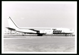 Fotografie Flugzeug Boeing 707, Passagierflugzeug Der Tampa, Kennung-3355-X  - Aviation