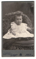 Fotografie Atelier Favorita F. Münz, Wien IV., Faforitenstrasse 58, Baby In Weissem Kleidchen Auf Fell  - Anonymous Persons