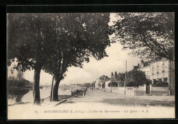 CPA Montrichard, L`Allée Des Maronniers  - Montrichard