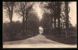 CPA Suèvres, Allée Des Forges  - Autres & Non Classés