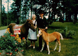 73949374 St_Andreasberg_Harz Die Pony Post Mit Nachwuchs Im Kurpark - St. Andreasberg