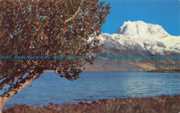 R153365 Loch Maree And The Snow Capped Slioch. 1970 - Monde