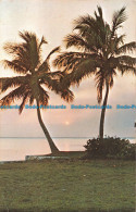 R153960 The Unmatched Beauty Of A Florida Sunrise. Joe Posner. 1976 - World