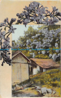 R152732 Old Postcard. House And Flower Trees. 1912 - World
