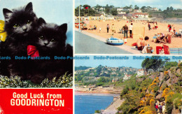 R153398 Good Luck From Goodrington. Multi View. Bamforth - World