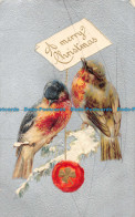 R152746 Greetings. A Merry Christmas. Two Birds. Stewart And Woolf - World