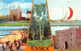 R153412 Essex. Multi View. Photo Precision. Colourmaster - Monde