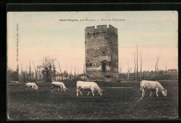 CPA Saint-Fargeux, Pres Roanne - Tour De L`Espinasse  - Roanne