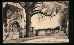 CPA Neufbourg, Entree Du Chateau Et Route De Moingt  - Autres & Non Classés