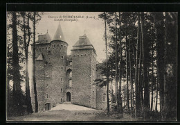 CPA Noirétable, Le Chateau, Entree Principale  - Other & Unclassified