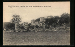 CPA Noirétable, Chateau De La Merlee, Curieuse Construction Du Moyen-Age  - Autres & Non Classés