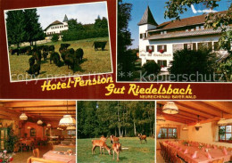 73761301 Neureichenau Hotel Pension Gut Riedelsbach Wild Viehherde Neureichenau - Autres & Non Classés