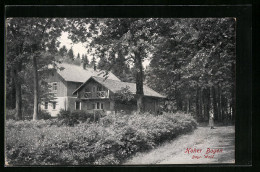 AK Hoher Bogen /Bayr. Wald, Waldhaus  - Other & Unclassified