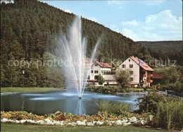 72397685 Enzkloesterle Hotel Waldhain Post Fontaene Enzkloesterle - Other & Unclassified