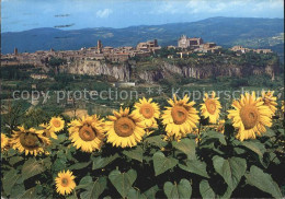 72397099 Orvieto Panorama Orvieto - Other & Unclassified