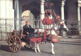 72397052 Monreale Caretto Siciliano Di Vaglica Francesco Monreale - Autres & Non Classés