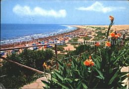 72394859 Las Palmas Gran Canaria Playa Del Ingles Strand Blumen  - Other & Unclassified