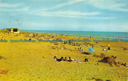 R153479 The Beach Camber Sands. 1975 - Monde