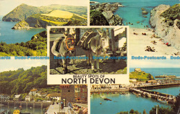 R153484 Beauty Spots Of North Devon. Multi View - Monde