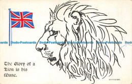 R154068 The Glory Of A Lion Is His Mane. Boots - Monde