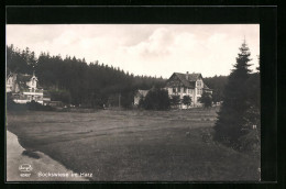 AK Bockswiese Im Harz, Am Landhaus Vor Dem Walde  - Autres & Non Classés