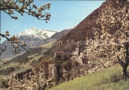 72394715 Meran Merano Schloss Tirol Mit Zielspitze Texelgruppe Baumbluete Meran  - Autres & Non Classés