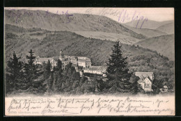 AK Schwarzburg I. Th., Blick Auf Das Schloss Vom Helenensitz Gesehen  - Other & Unclassified