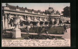 AK Potsdam, Schloss Sanssouci, In Den Parkanlagen  - Sonstige & Ohne Zuordnung