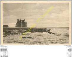 56.  QUIBERON .  La Pointe Et Le Chateau . - Quiberon