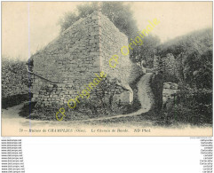 60.  Ruines De CHAMPLIEU .  Le Chemin De Ronde . - Andere & Zonder Classificatie