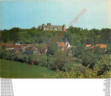 DRUYES LES BELLES FONTAINES .  Vue Générale . - Other & Unclassified