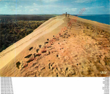 33. DUNE DU PILAT . Bassin D'ARCACHON .  PYLA . - Autres & Non Classés