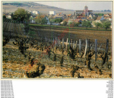 21.  NUITS SAINT GEORGES . St-Symphorien Vu Des Vignes . - Nuits Saint Georges