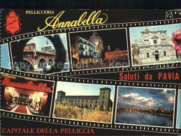 72393854 Pavia Pellicceria Annabella Pavia - Other & Unclassified