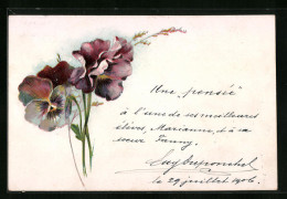 Präge-Lithographie Stiefmütterchen, In Voller Blüte Gesehen  - Sonstige & Ohne Zuordnung